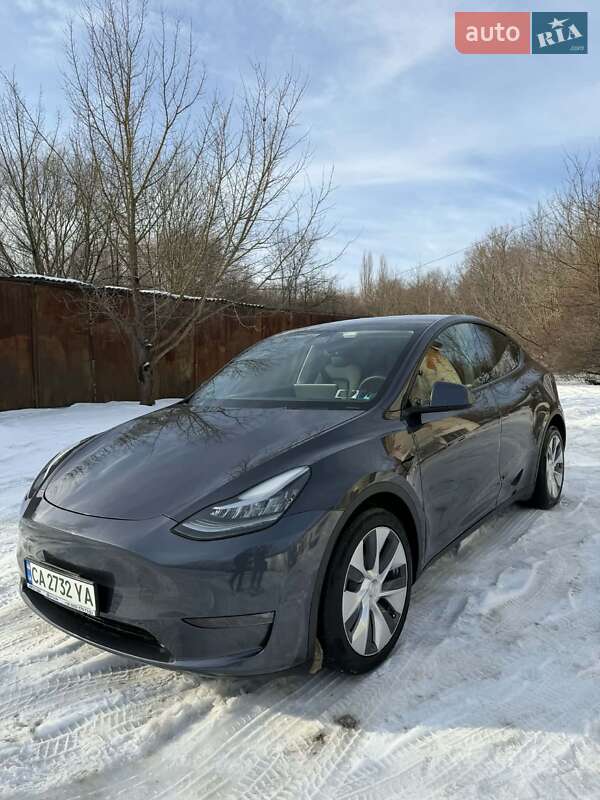 Внедорожник / Кроссовер Tesla Model Y 2021 в Борщеве фото 3 Внедорожник / Кроссовер Tesla Model Y 2021 в Борщеве