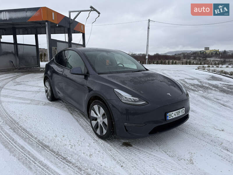 Позашляховик / Кросовер Tesla Model Y 2021 в Золочеві