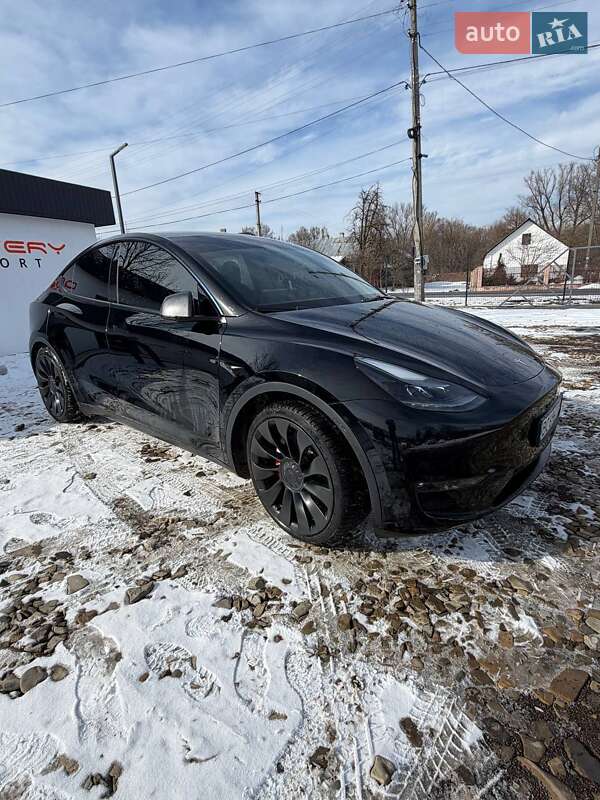 Позашляховик / Кросовер Tesla Model Y 2023 в Самборі
