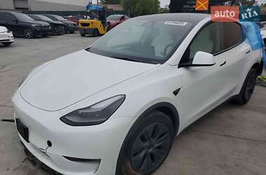 Позашляховик / Кросовер Tesla Model Y 2024 в Києві