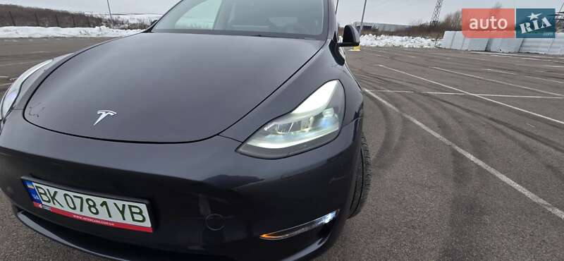 Позашляховик / Кросовер Tesla Model Y 2024 в Рівному