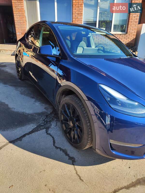 Внедорожник / Кроссовер Tesla Model Y 2022 в Кривом Роге