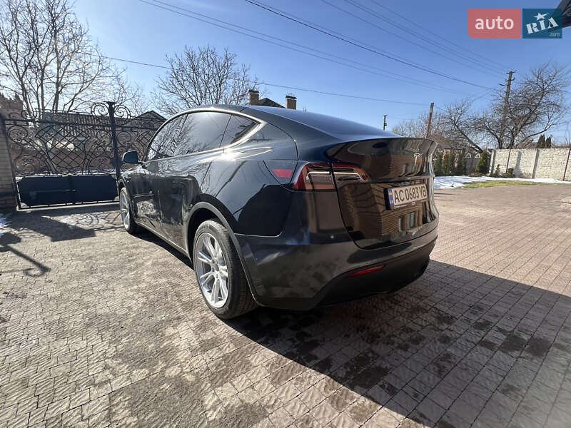 Позашляховик / Кросовер Tesla Model Y 2023 в Луцьку