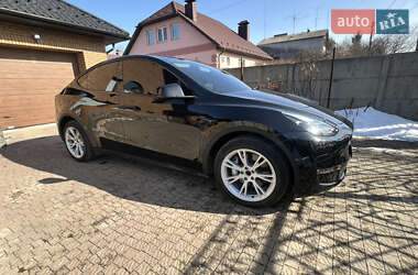 Внедорожник / Кроссовер Tesla Model Y 2023 в Луцке