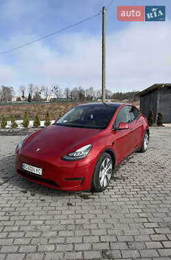 Позашляховик / Кросовер Tesla Model Y 2023 в Золочеві