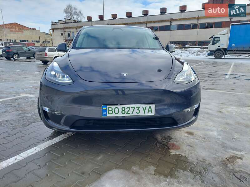 Позашляховик / Кросовер Tesla Model Y 2024 в Тернополі
