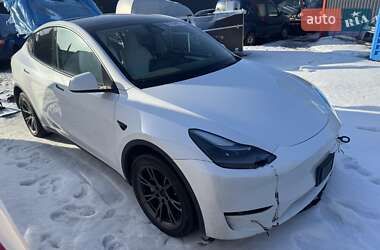 Позашляховик / Кросовер Tesla Model Y 2024 в Києві