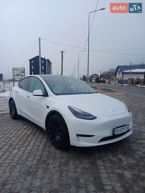 Позашляховик / Кросовер Tesla Model Y 2021 в Теребовлі