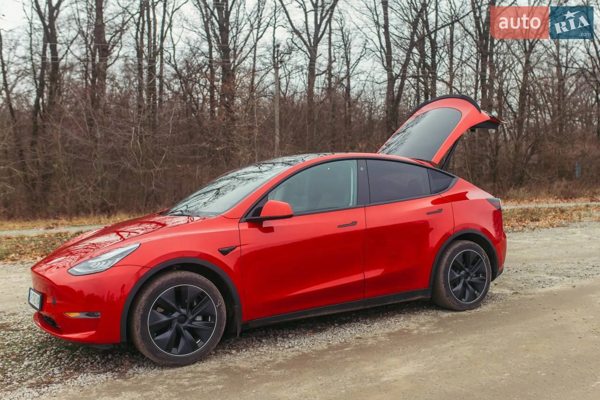2020 Tesla Model Y - мініатюра 74