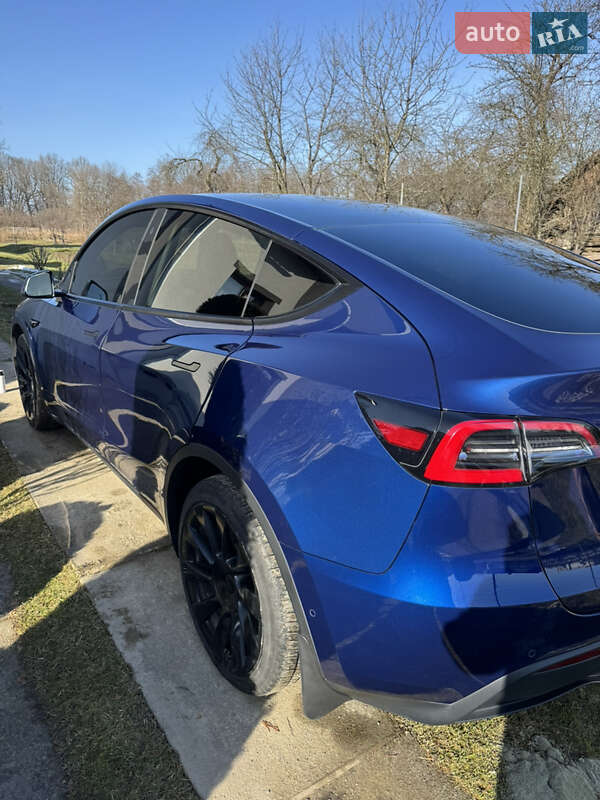 Внедорожник / Кроссовер Tesla Model Y 2021 в Моршине