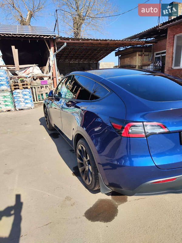 Внедорожник / Кроссовер Tesla Model Y 2022 в Кривом Роге