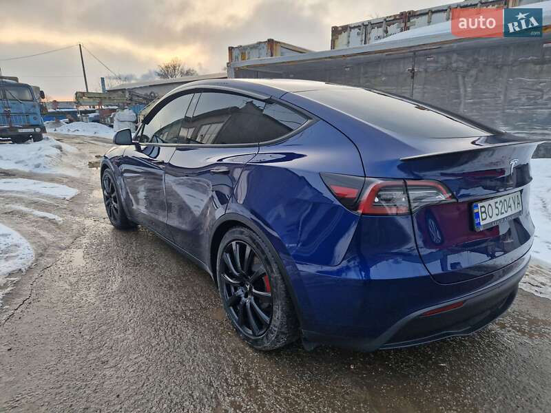 Позашляховик / Кросовер Tesla Model Y 2023 в Тернополі