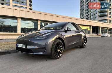 Позашляховик / Кросовер Tesla Model Y 2023 в Дніпрі