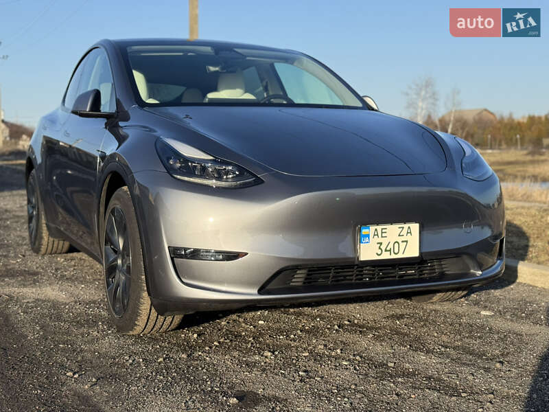 2024 Tesla Model Y, VIN 7SAYGDEE8RF206968:plate — фото 1 (autoria)