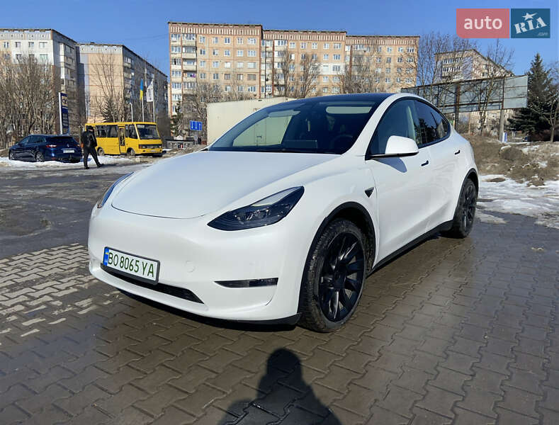 2022 Tesla Model Y, VIN 7SAYGAEE5NF383681:plate — фото 1 (autoria)
