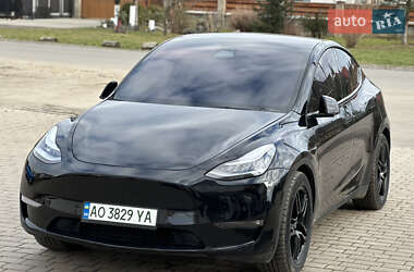 Позашляховик / Кросовер Tesla Model Y 2021 в Ужгороді
