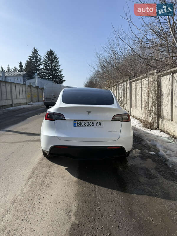 Позашляховик / Кросовер Tesla Model Y 2023 в Рівному