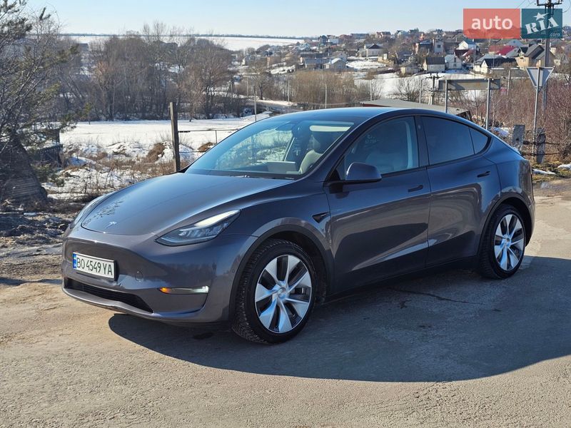 Позашляховик / Кросовер Tesla Model Y 2021 в Тернополі
