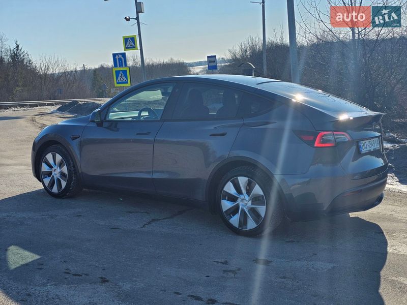 Позашляховик / Кросовер Tesla Model Y 2021 в Тернополі