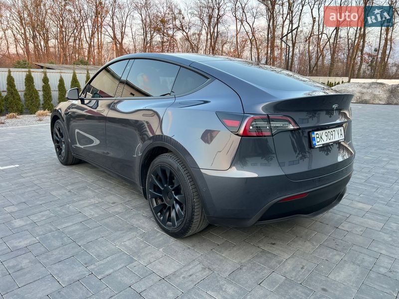 Внедорожник / Кроссовер Tesla Model Y 2020 в Луцке
