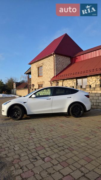 Внедорожник / Кроссовер Tesla Model Y 2020 в Золочеве