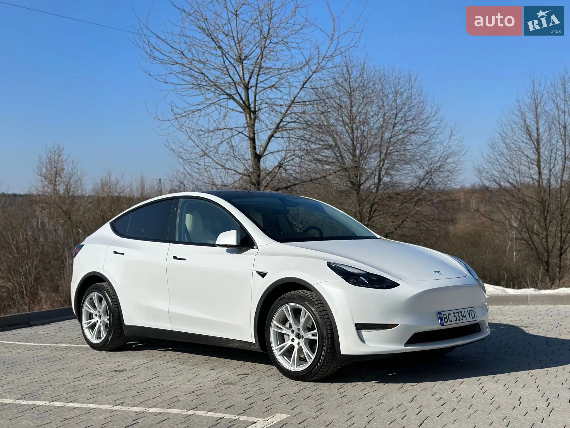 2023 Tesla Model Y - мініатюра 6