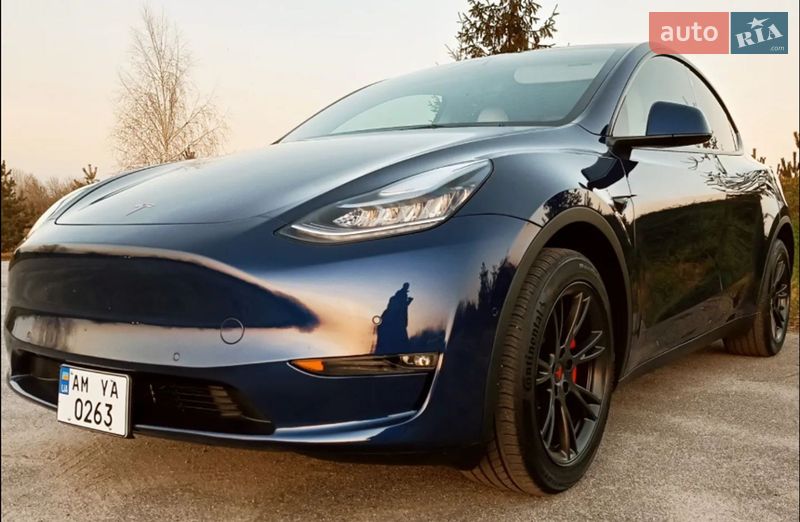 Внедорожник / Кроссовер Tesla Model Y 2021 в Житомире