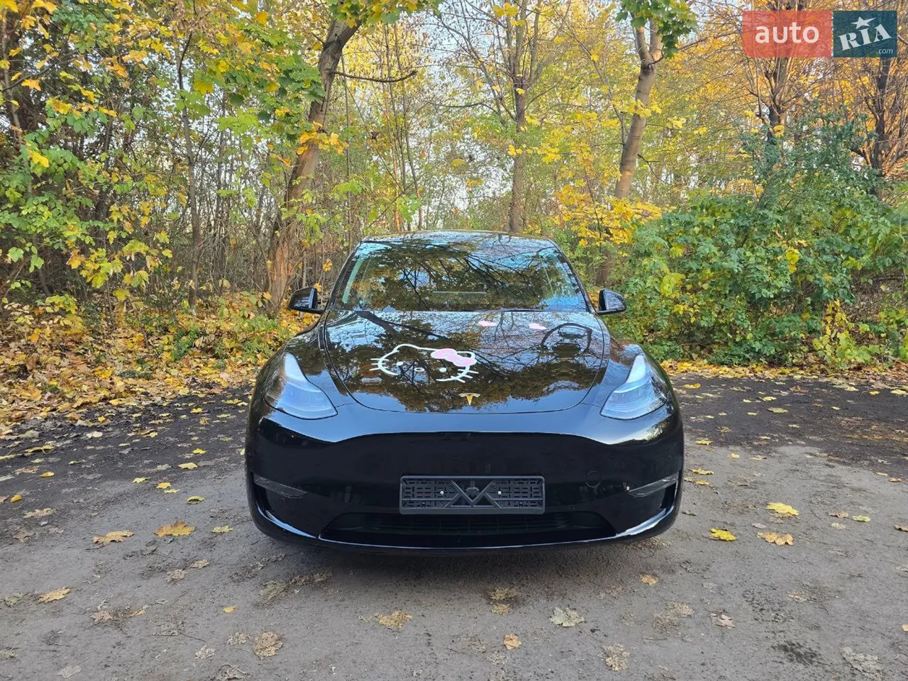 2023 Tesla Model Y - мініатюра 20