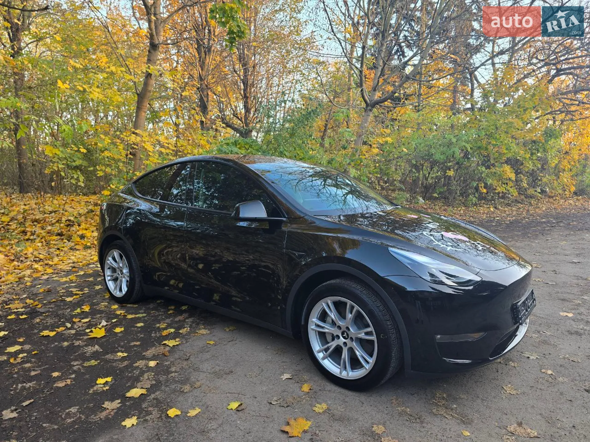 2023 Tesla Model Y - мініатюра 6