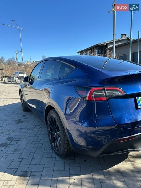 Позашляховик / Кросовер Tesla Model Y 2021 в Львові