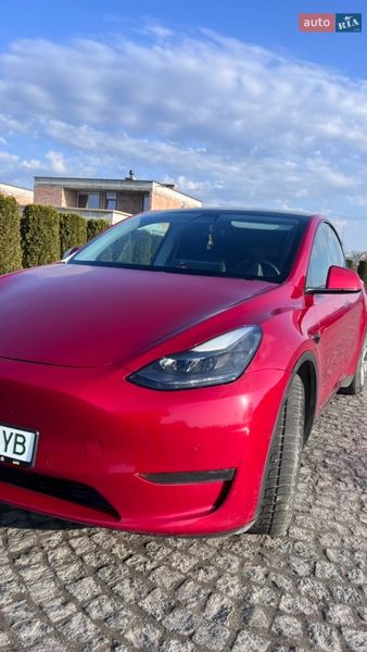 Внедорожник / Кроссовер Tesla Model Y 2020 в Жовкве