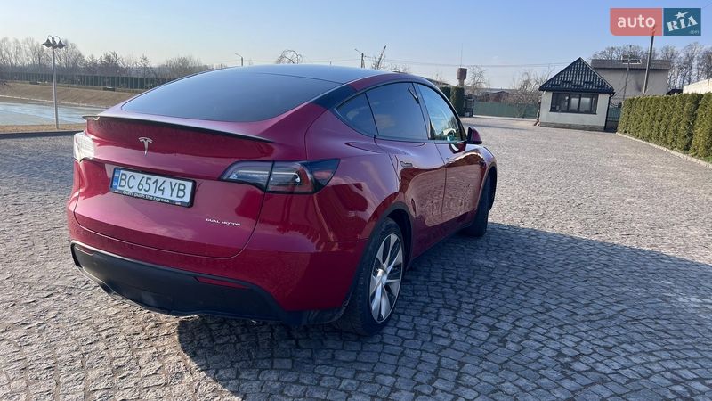 Внедорожник / Кроссовер Tesla Model Y 2020 в Жовкве