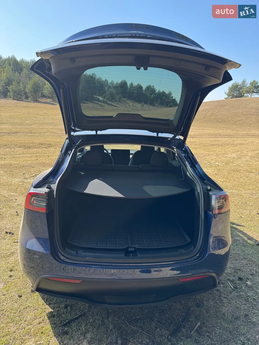 2024 Tesla Model Y - мініатюра 9