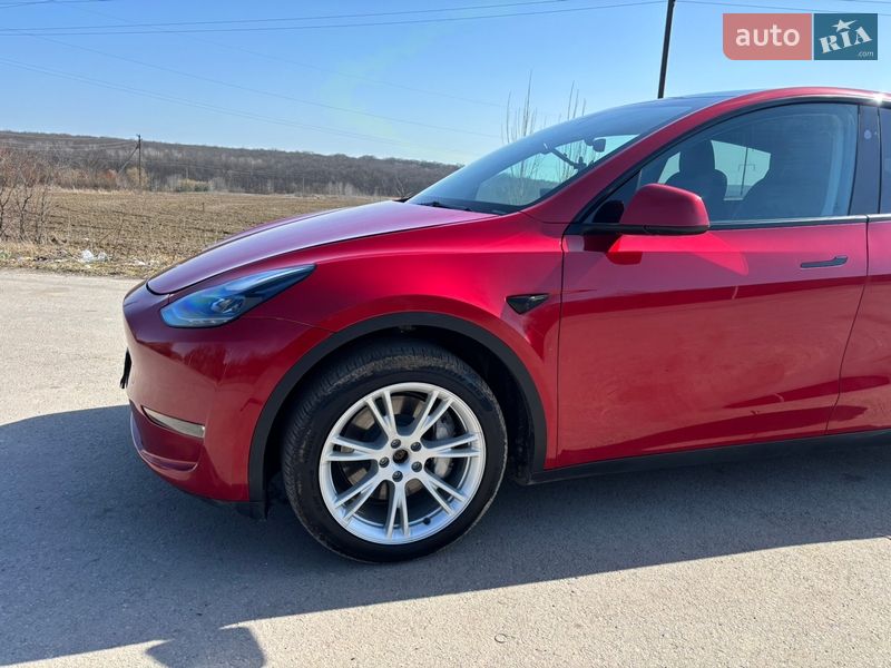 Внедорожник / Кроссовер Tesla Model Y 2023 в Виннице фото 3 Внедорожник / Кроссовер Tesla Model Y 2023 в Виннице