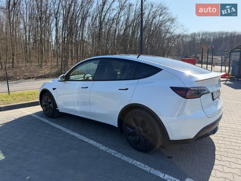 Внедорожник / Кроссовер Tesla Model Y 2024 в Ужгороде