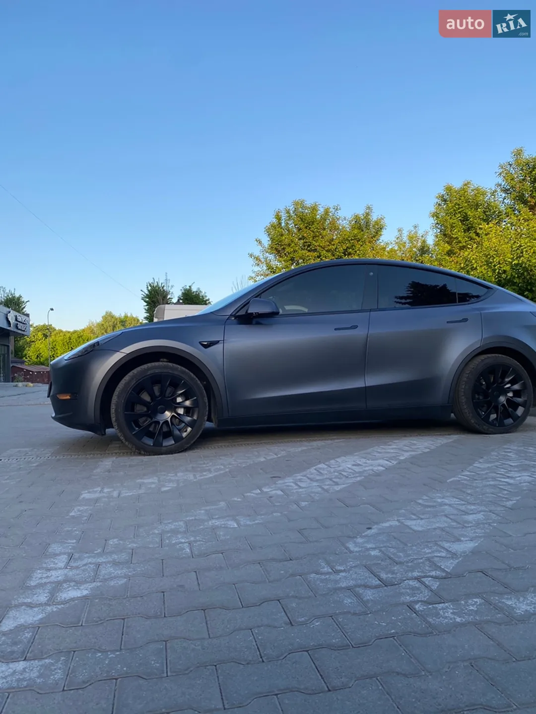 2023 Tesla Model Y - фото 1