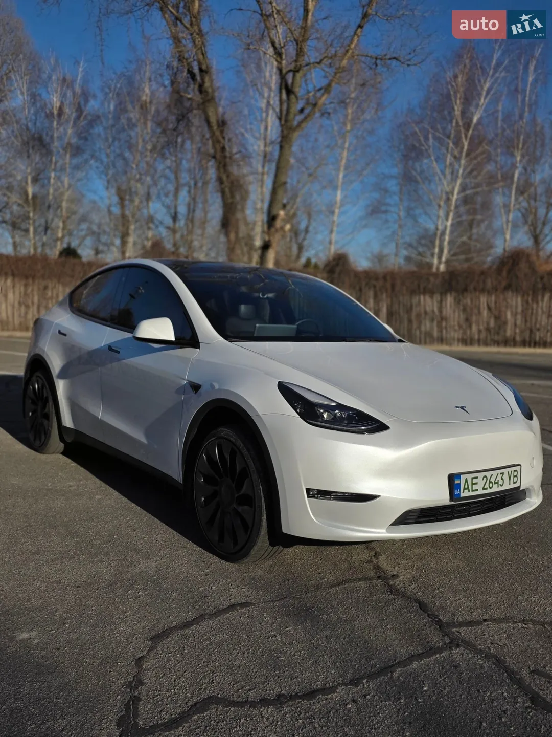 2023 Tesla Model Y - мініатюра 18