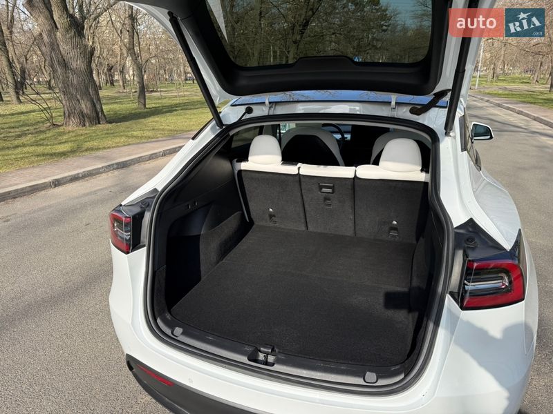 Позашляховик / Кросовер Tesla Model Y 2021 в Одесі фото 13 Позашляховик / Кросовер Tesla Model Y 2021 в Одесі