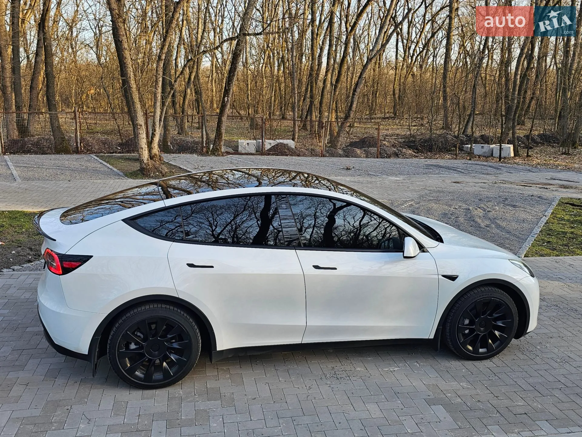 2023 Tesla Model Y - мініатюра 13
