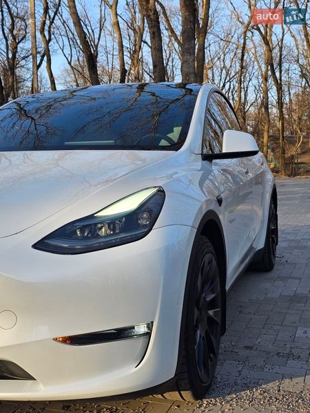 Внедорожник / Кроссовер Tesla Model Y 2023 в Днепре