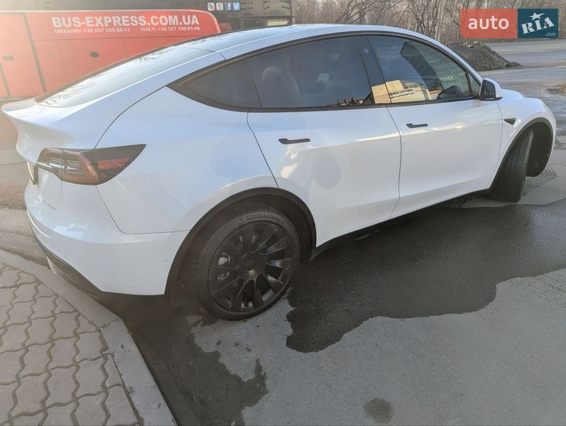 Внедорожник / Кроссовер Tesla Model Y 2021 в Тернополе