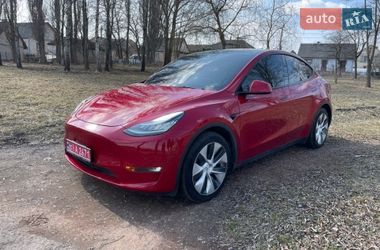 Внедорожник / Кроссовер Tesla Model Y 2021 в Ровно