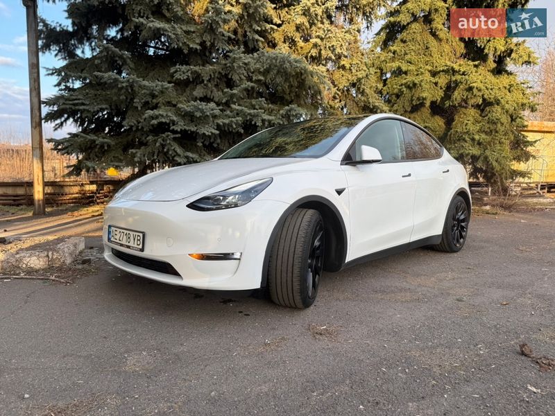 Позашляховик / Кросовер Tesla Model Y 2021 в Кривому Розі