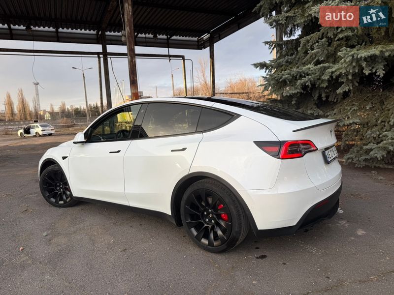 Позашляховик / Кросовер Tesla Model Y 2021 в Кривому Розі