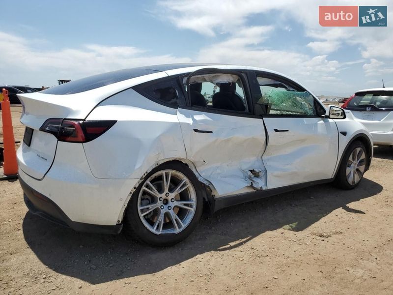 Позашляховик / Кросовер Tesla Model Y 2020 в Самборі фото 8 Позашляховик / Кросовер Tesla Model Y 2020 в Самборі