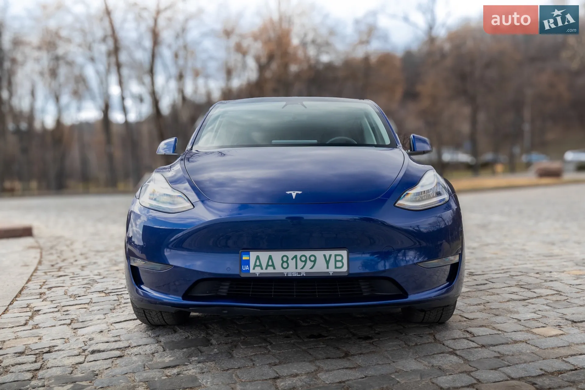 2020 Tesla Model Y - мініатюра 2