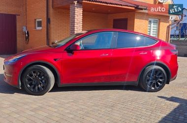 Внедорожник / Кроссовер Tesla Model Y 2024 в Фастове