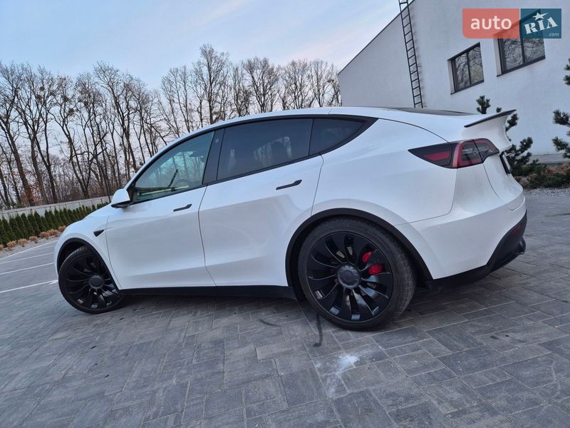 Внедорожник / Кроссовер Tesla Model Y 2022 в Луцке фото 3 Внедорожник / Кроссовер Tesla Model Y 2022 в Луцке