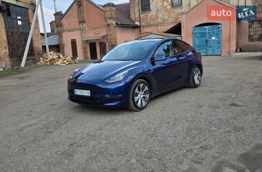 Внедорожник / Кроссовер Tesla Model Y 2022 в Коломые