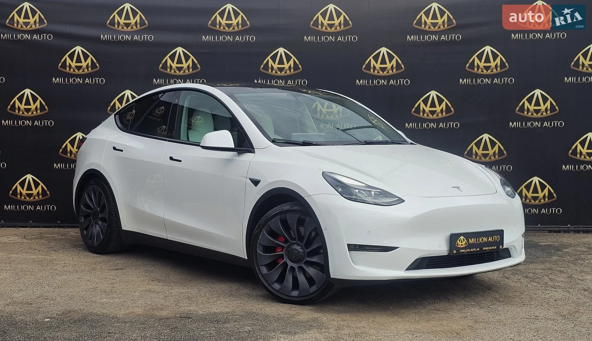 2021 Tesla Model Y - фото 1